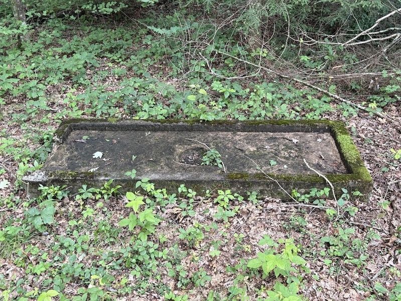 Grease Trap image. Click for full size.
