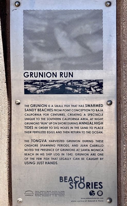 Grunion Run Marker. Click for full size. Grunion Run Marker image. Click for full size.