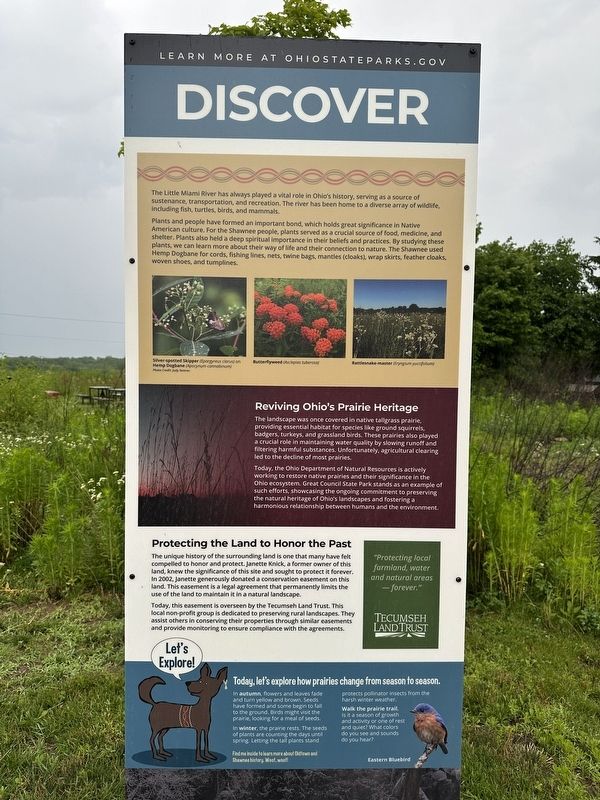 Discover Marker image. Click for full size.