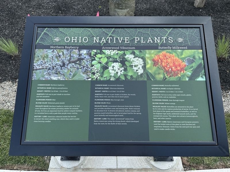 Ohio Native Plants Marker. Click for full size. Ohio Native Plants Marker image. Click for full size.