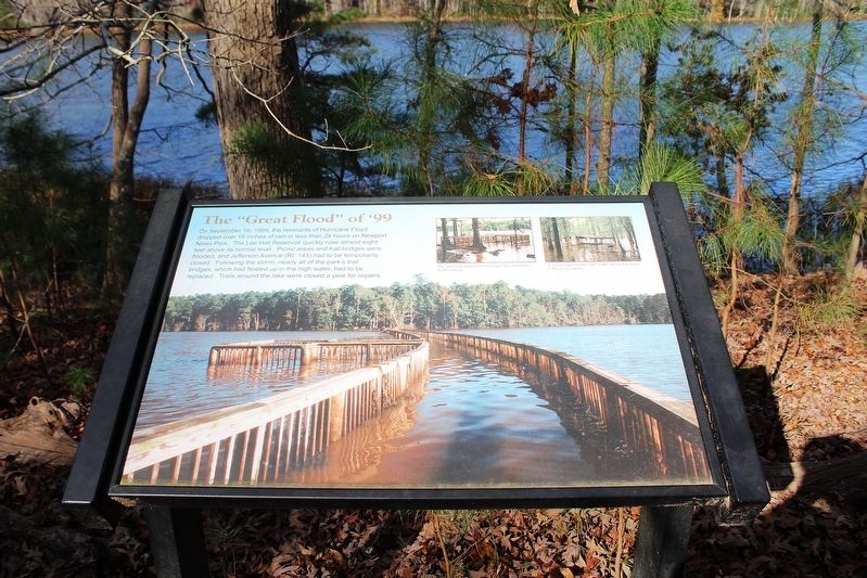 The "Great Flood" of '99 Marker image. Click for full size.