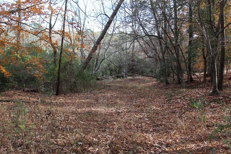 Wynne's Mill Road Trace. Click for full size. Wynne's Mill Road Trace image. Click for full size.