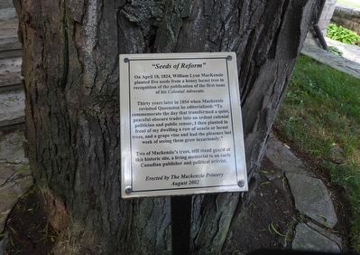 Seeds Of Reform Marker. Click for full size. Seeds Of Reform Marker image. Click for full size.
