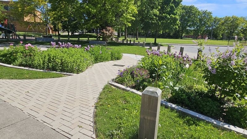 Tamir Rice Memorial Garden image. Click for full size.
