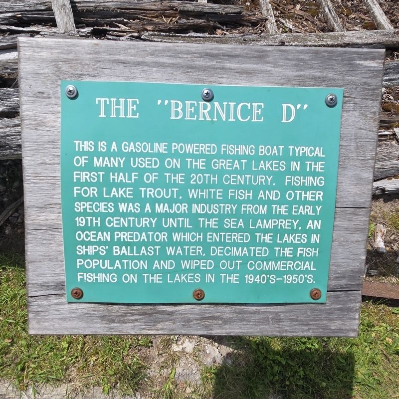 The "Bernice D" Marker image. Click for full size.