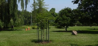 Lester B. Pearson Memorial Maple... - Marker in context image. Click for full size.