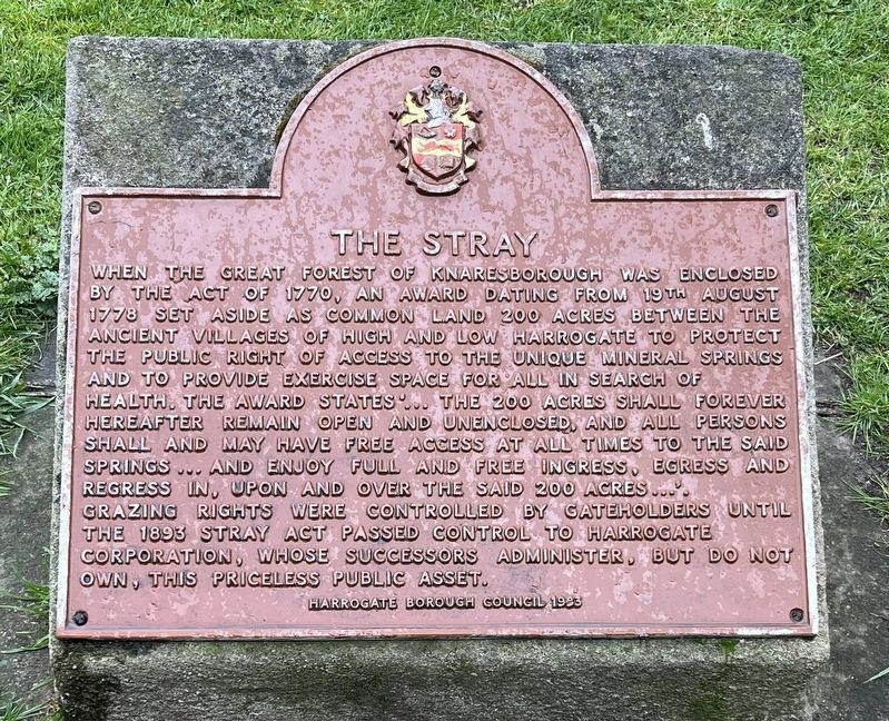 The Stray Marker. Click for full size. The Stray Marker image. Click for full size.