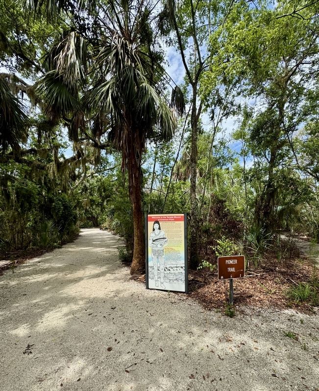 Temple Mound at Emerson Point Marker. Click for full size. Temple Mound at Emerson Point Marker image. Click for full size.