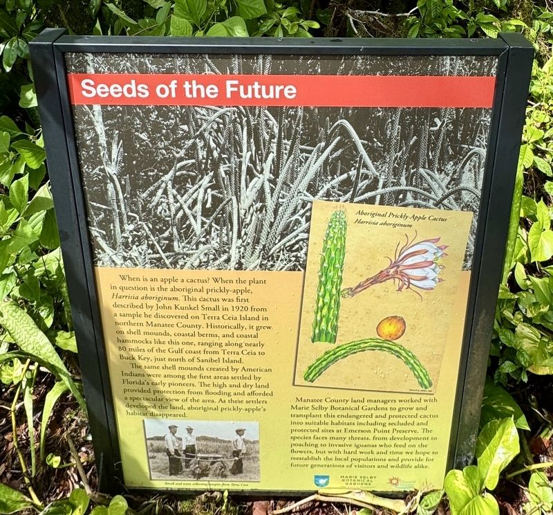 Seeds of the Future Marker image. Click for full size.
