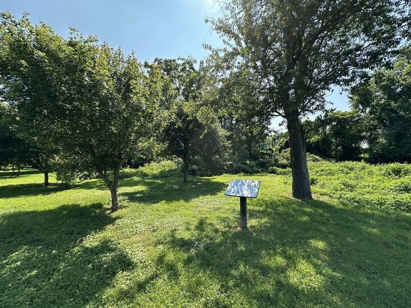 Sentinel Tree Planting Marker - wide view with trees image. Click for full size.