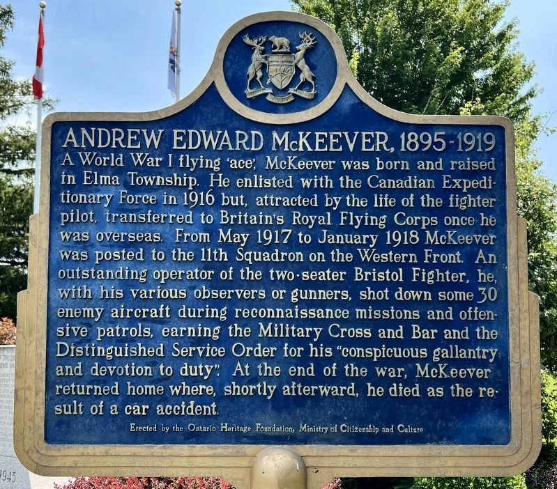 Andrew Edward McKeever, 1895-1919 marker image. Click for full size.