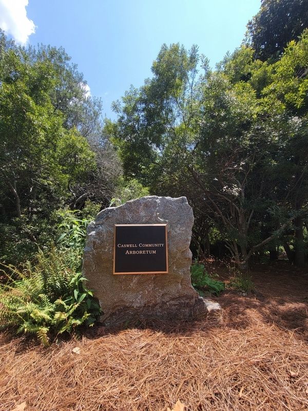 Caswell County Arboretum image. Click for full size.