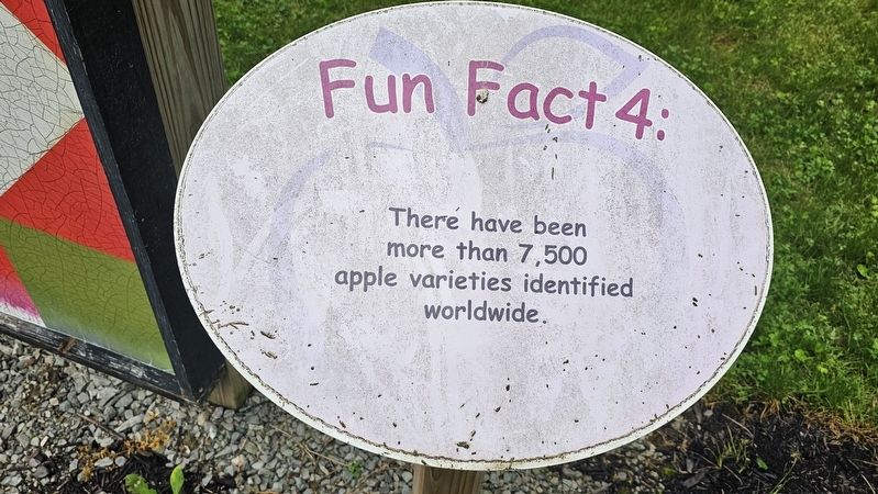 Fun Fact 4 Marker image. Click for full size.