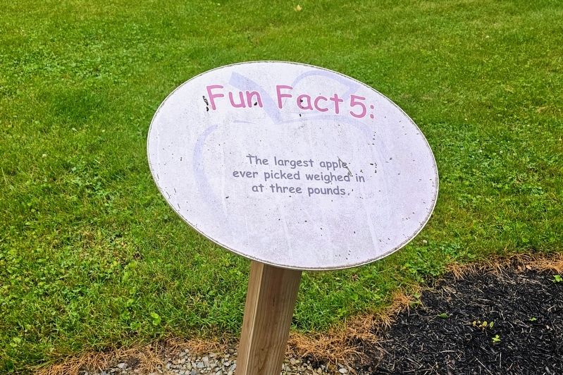 Fun Fact 5 Marker. Click for full size. Fun Fact 5 Marker image. Click for full size.
