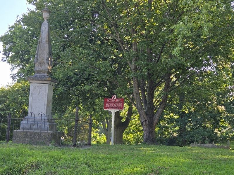 Weeping Tree Marker and Senator Linn's obelisk image. Click for full size.