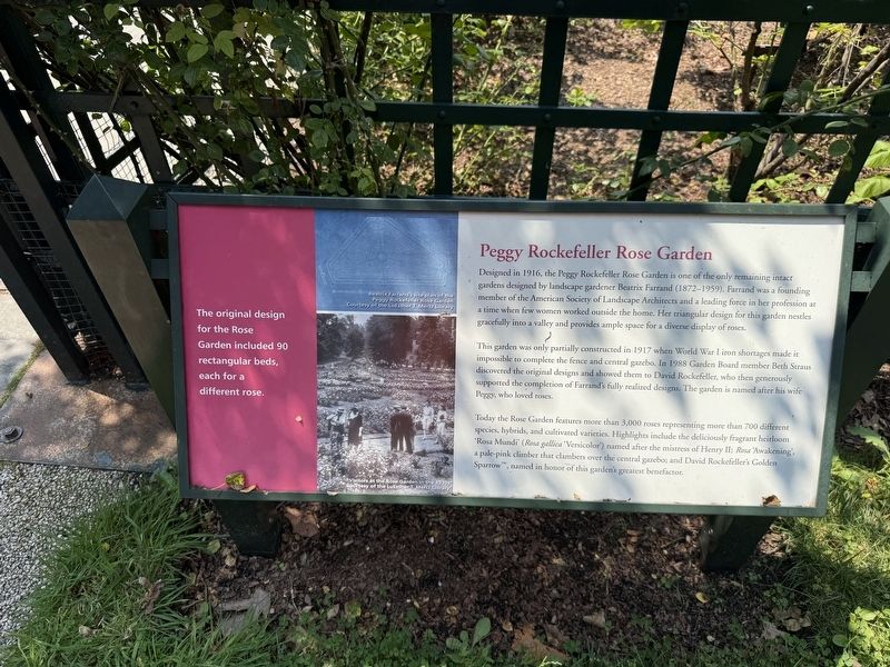 Peggy Rockefeller Rose Garden Marker. Click for full size. Peggy Rockefeller Rose Garden Marker image. Click for full size.