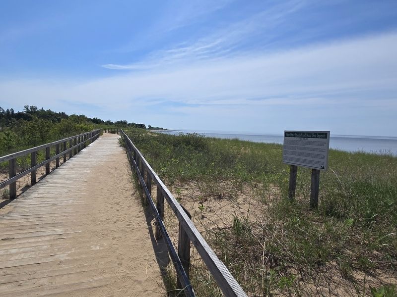 Near-Shore Sawdust and Wood Chip Deposits Marker along the boardwalk at Lakeside Park image. Click for full size.