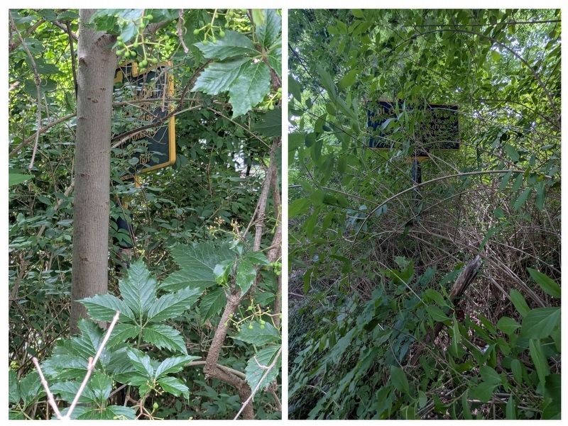 View of the marker (collaged) from the side of the road to see just how obscured it is image. Click for full size.