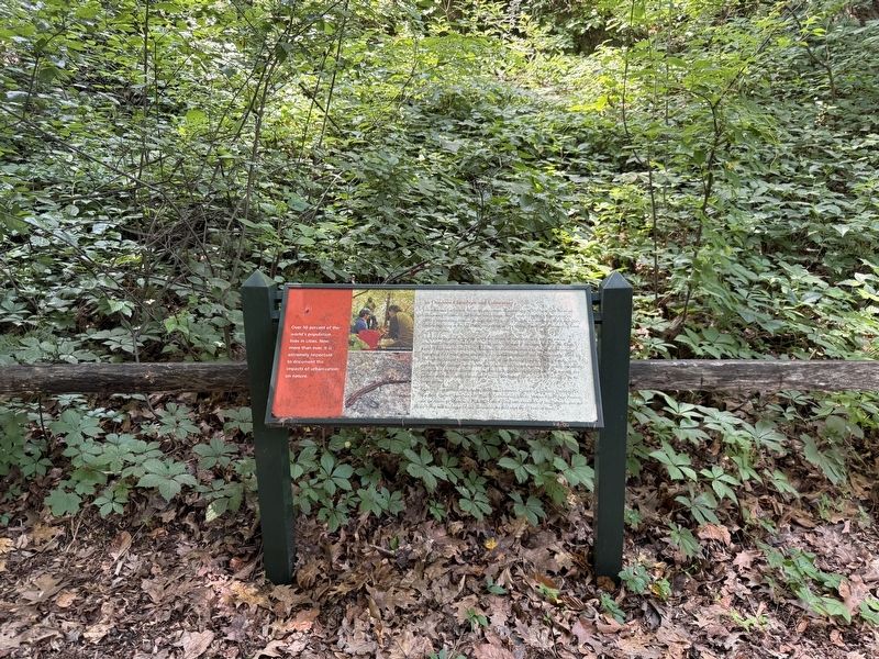 An Outdoor Classroom and Laboratory Marker. Click for full size. An Outdoor Classroom and Laboratory Marker image. Click for full size.