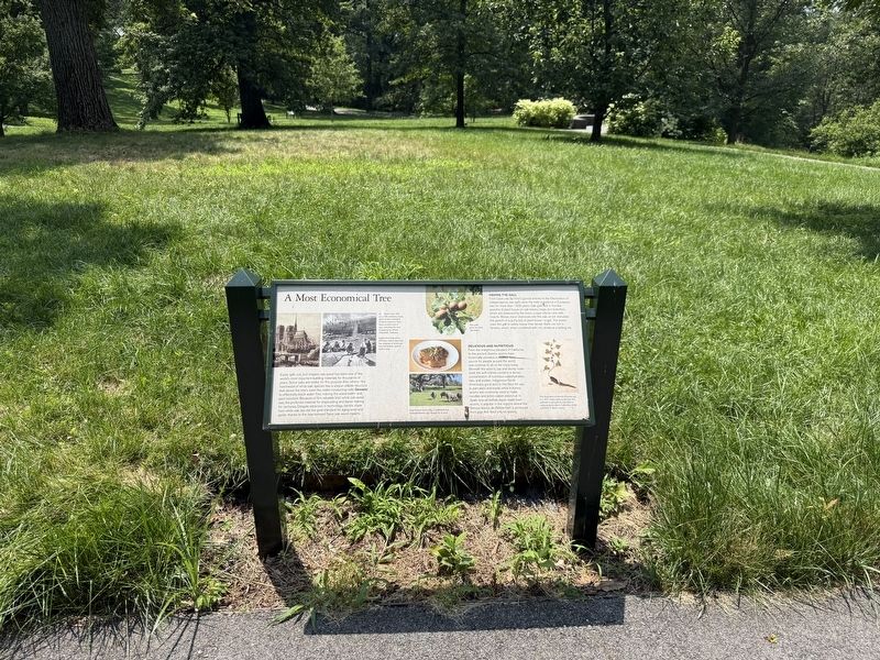 A Most Economical Tree Marker. Click for full size. A Most Economical Tree Marker image. Click for full size.