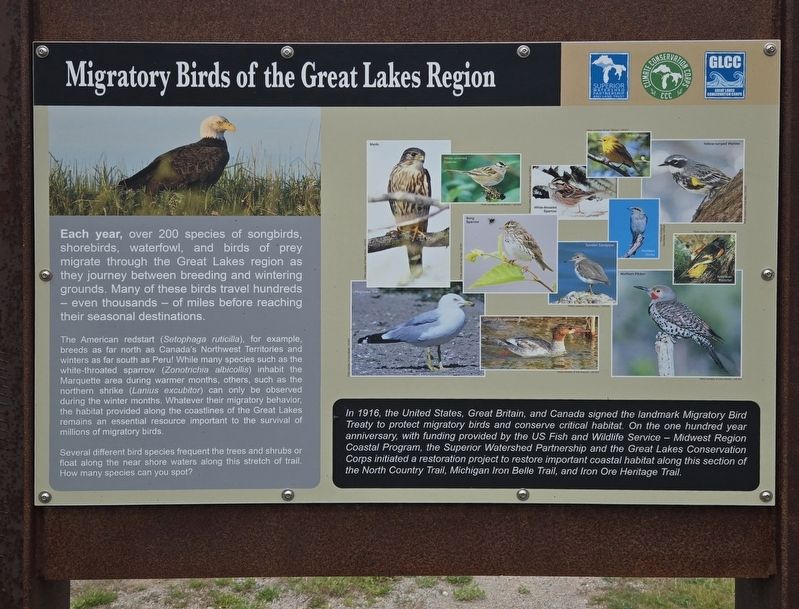 Migratory Birds of the Great Lakes Region Marker. Click for full size. Migratory Birds of the Great Lakes Region Marker image. Click for full size.