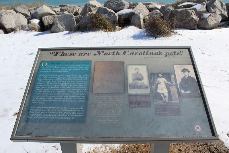 "These are North Carolina's pets." Marker image. Click for full size.