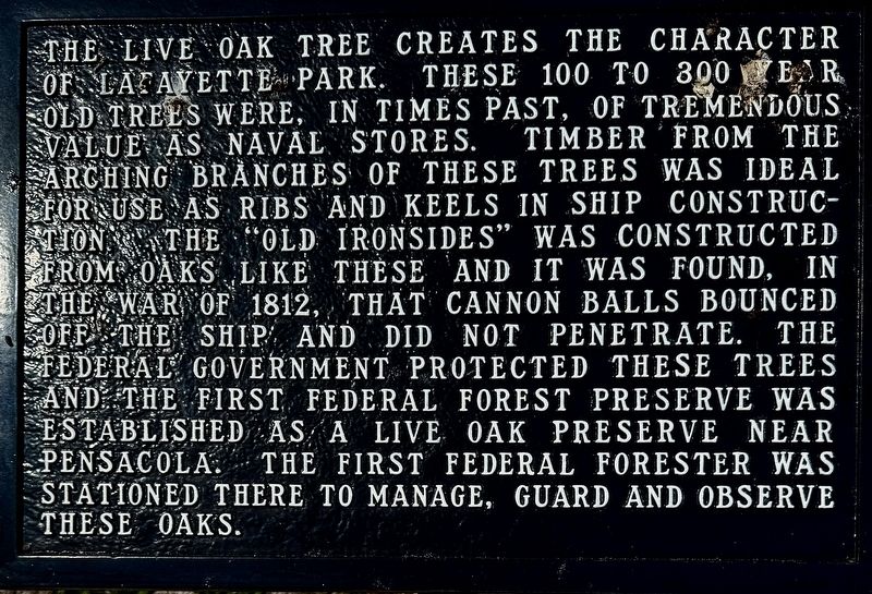 The Live Oak Tree Marker. Click for full size. The Live Oak Tree Marker image. Click for full size.