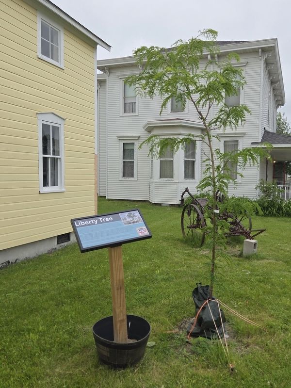 Liberty Tree Marker next to Transgrud House (yellow). Hudson House in the background image. Click for full size.