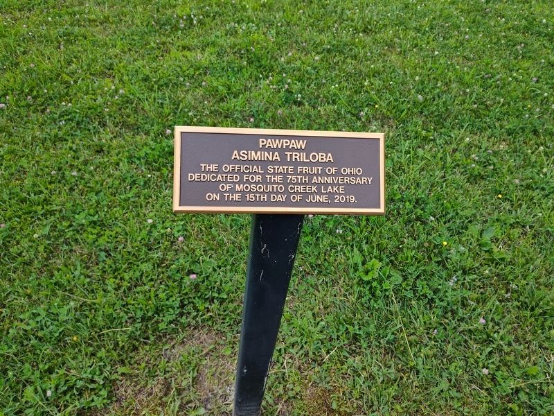 Pawpaw Marker image. Click for full size.