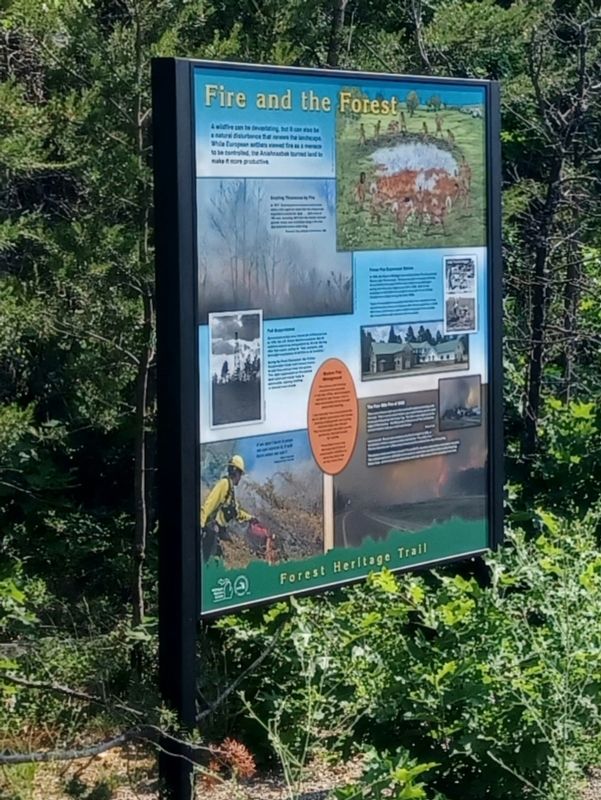 Fire and the Forest Marker. Click for full size. Fire and the Forest Marker image. Click for full size.
