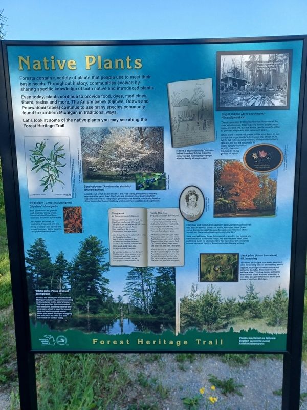 Native Plants Marker. Click for full size. Native Plants Marker image. Click for full size.