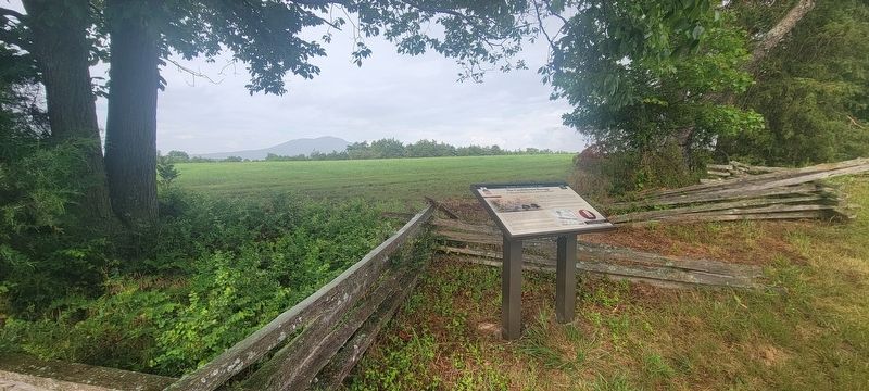 8th New York Trail. Click for full size. 8th New York Trail image. Click for full size.