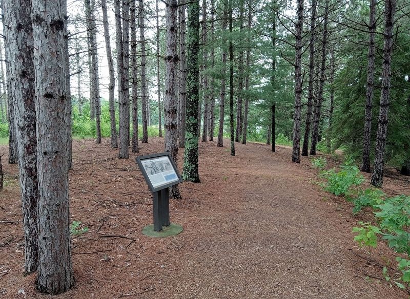Crow Wing, A Cultural Landscape Marker in the woods north of the townsite. Click for full size. Crow Wing, A Cultural Landscape Marker in the woods north of the townsite image. Click for full size.