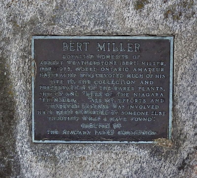 Bert Miller - Marker. Click for full size. Bert Miller - Marker image. Click for full size.