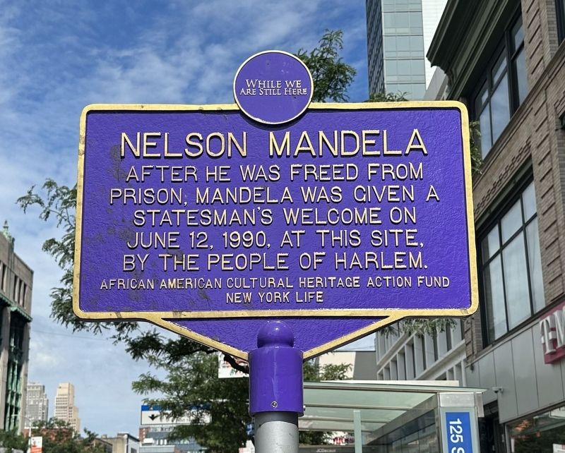 Nelson Mandela Marker image. Click for full size.