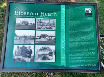 Blossom Heath Marker image. Click for full size.