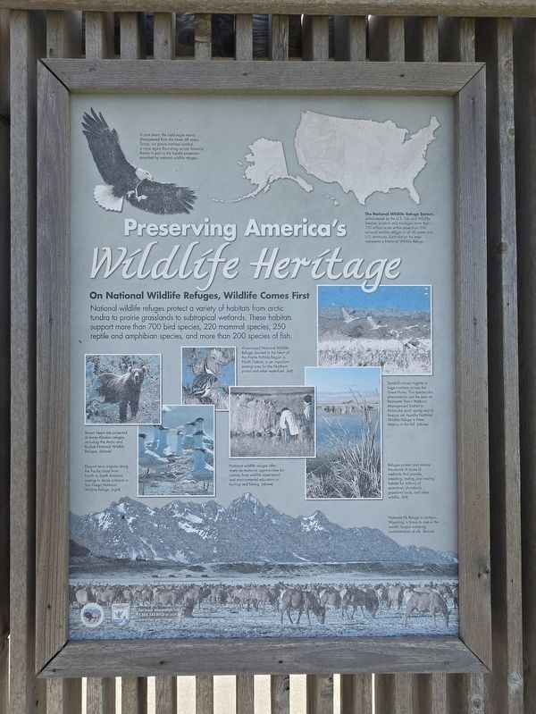 Preserving America's Wildlife Heritage side of marker. Click for full size. Preserving America's Wildlife Heritage side of marker image. Click for full size.