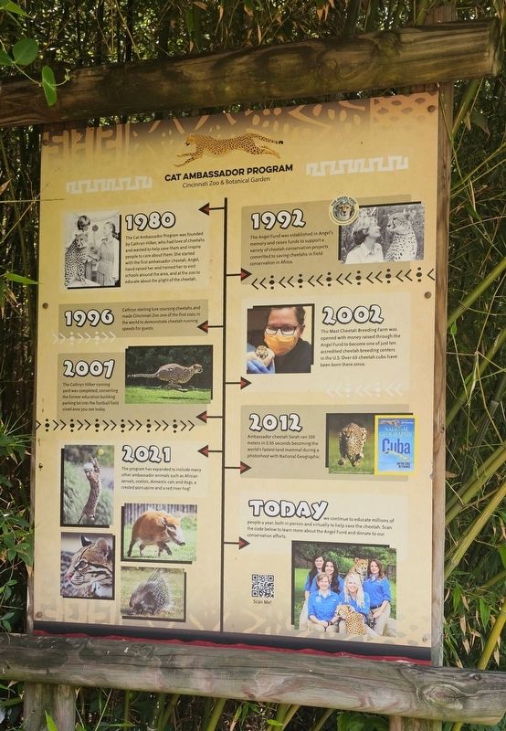 Cat Ambassador Program Marker image. Click for full size.
