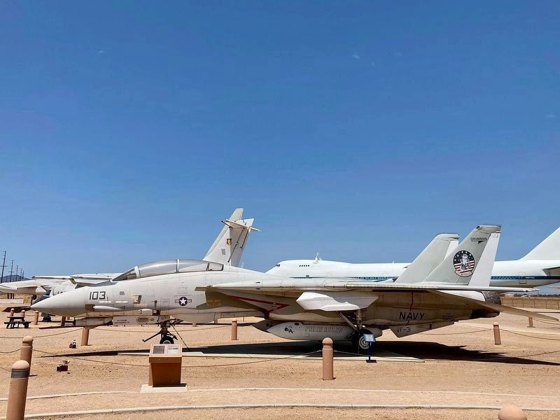 F-14 and Marker image. Click for full size.