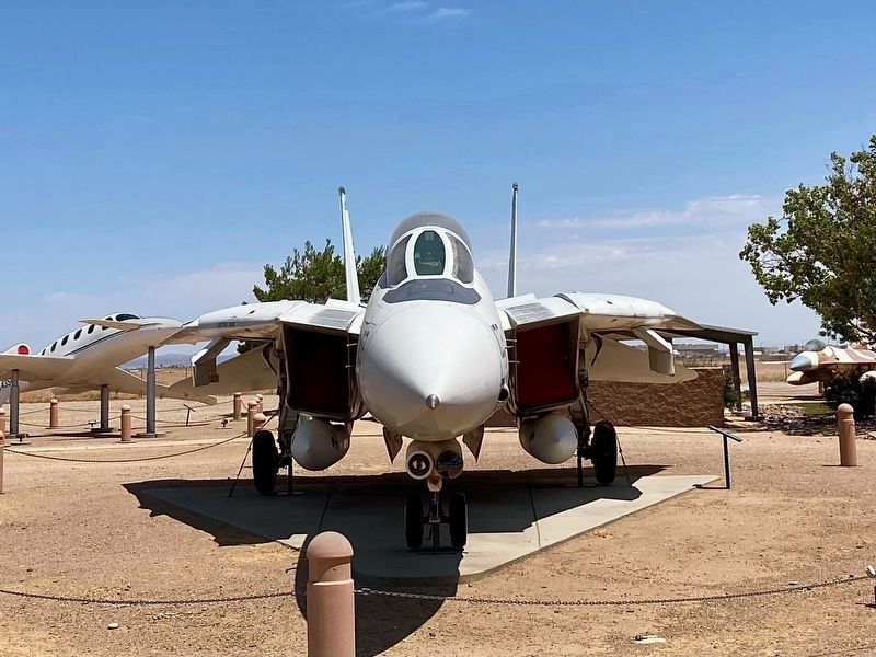 F-14 Tomcat image. Click for full size.