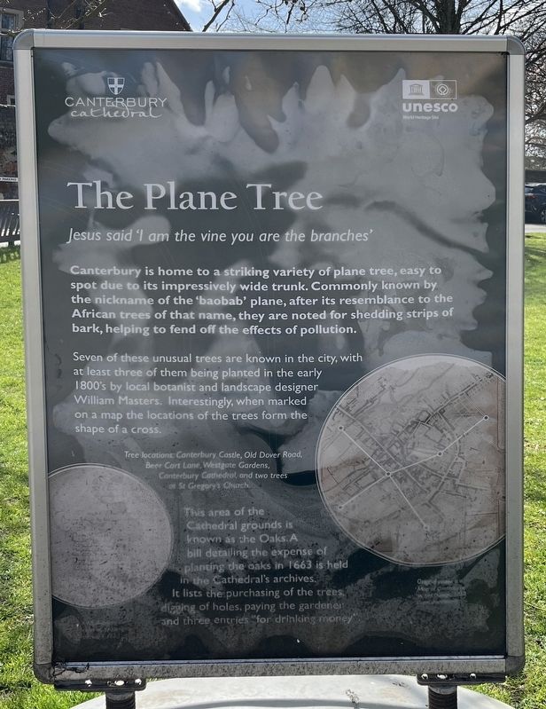 The Plane Tree Marker image. Click for full size.