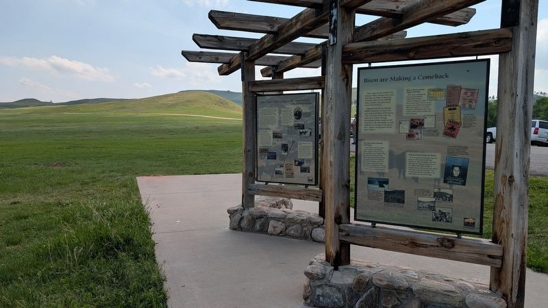 Bison are Making a Comeback Marker in context. Click for full size. Bison are Making a Comeback Marker in context image. Click for full size.