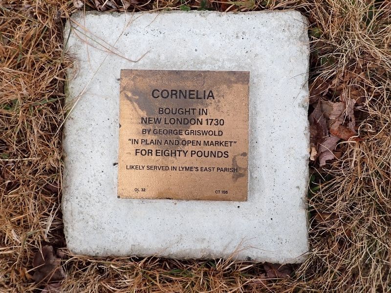 Cornelia Witness Stone. Click for full size. Cornelia Witness Stone image. Click for full size.