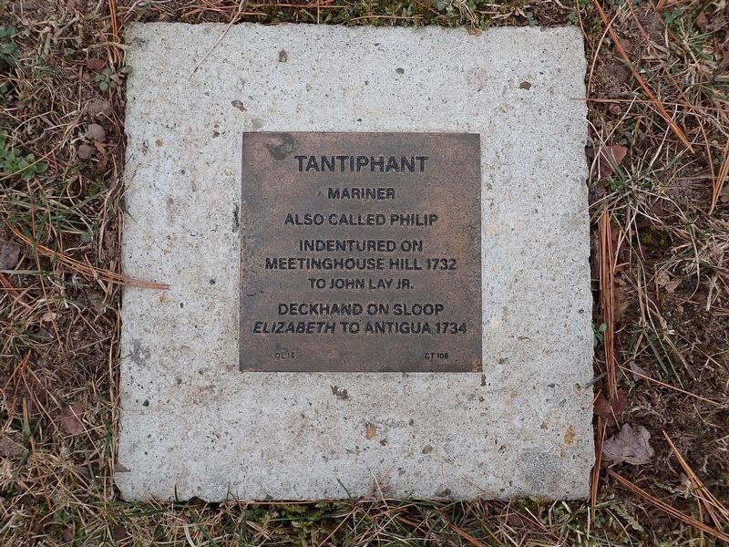 Tantiphant Witness Stone. Click for full size. Tantiphant Witness Stone image. Click for full size.
