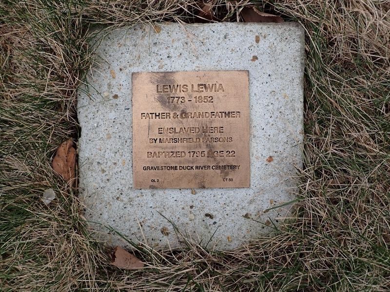 Lewis Lewia Witness Stone. Click for full size. Lewis Lewia Witness Stone image. Click for full size.
