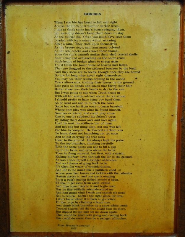 Birches Marker. Click for full size. Birches Marker image. Click for full size.