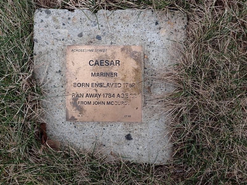 Caesar Witness Stone image. Click for full size.