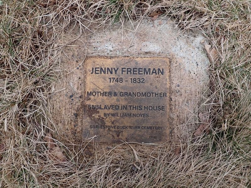 Jenny Freeman Witness Stone. Click for full size. Jenny Freeman Witness Stone image. Click for full size.