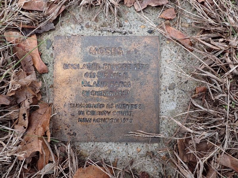 Moses Witness Stone image. Click for full size.