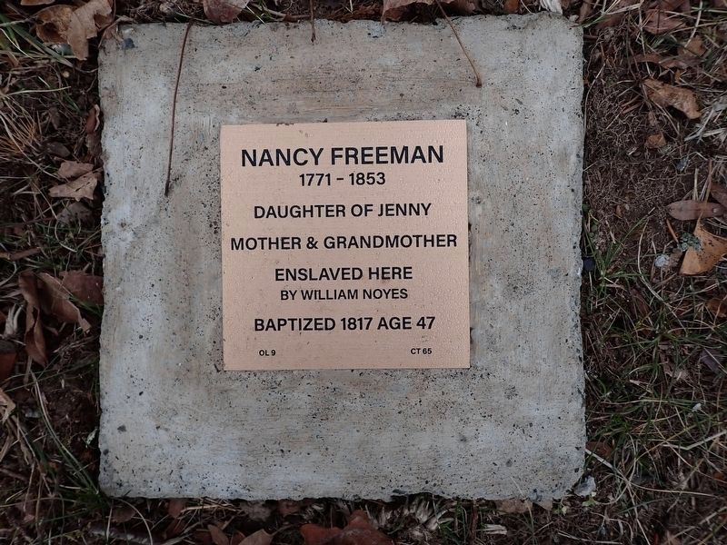 Nancy Freeman Witness Stone image. Click for full size.